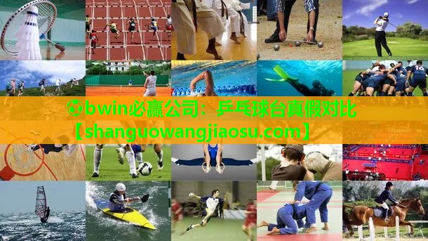 ⚽bwin必赢公司:乒乓球台真假对比