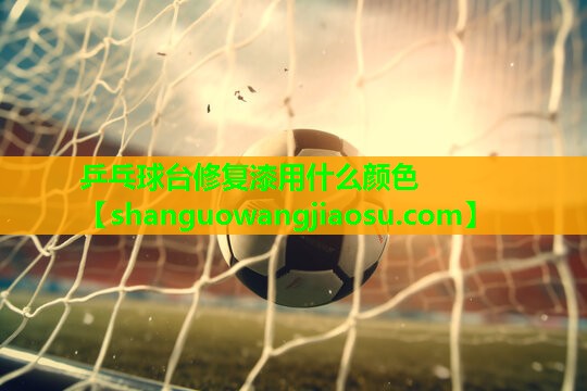 乒乓球台修复漆用什么颜色