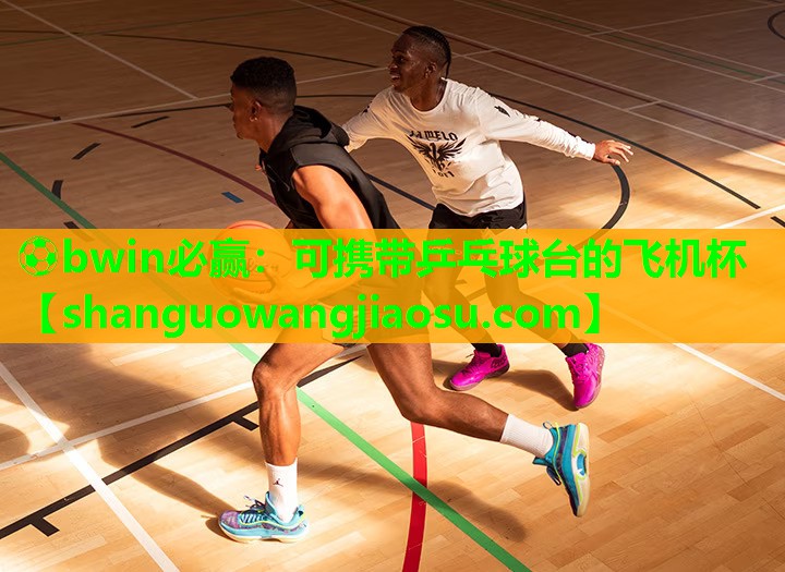 ⚽bwin必赢:可携带乒乓球台的飞机杯