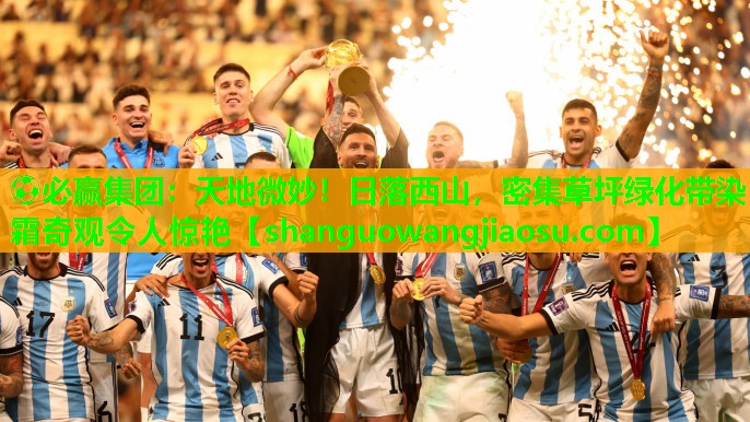 ⚽必赢集团:天地微妙!日落西山,密集草坪绿化带染霜奇观令人惊艳