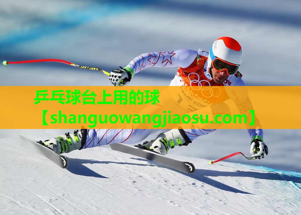 乒乓球台上用的球