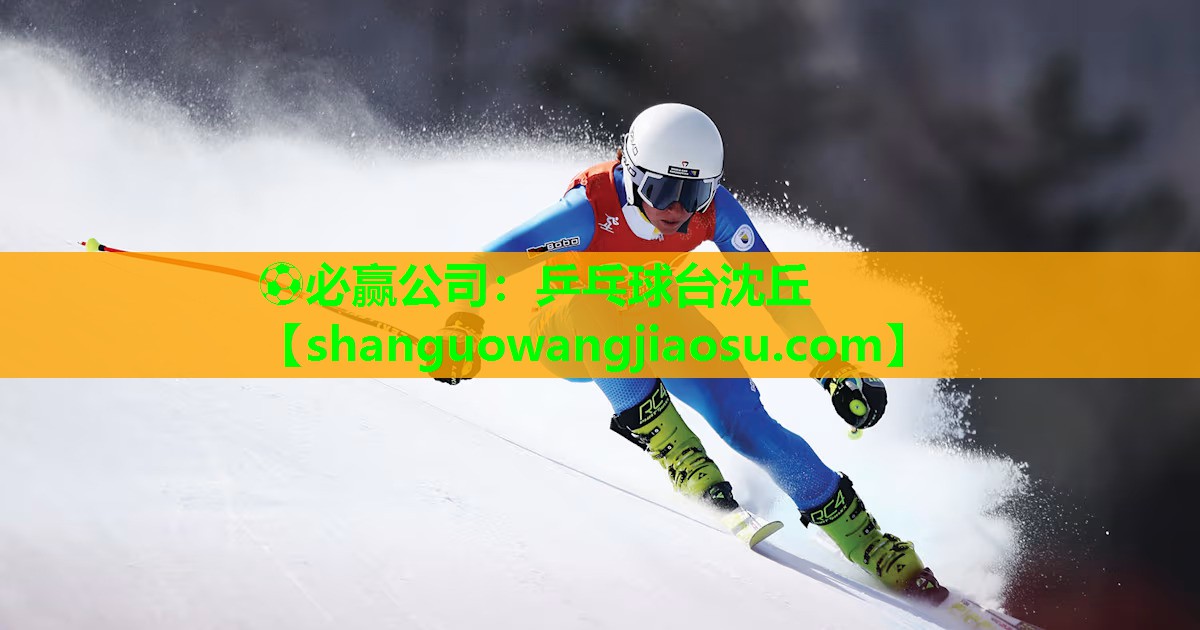 乒乓球台沈丘