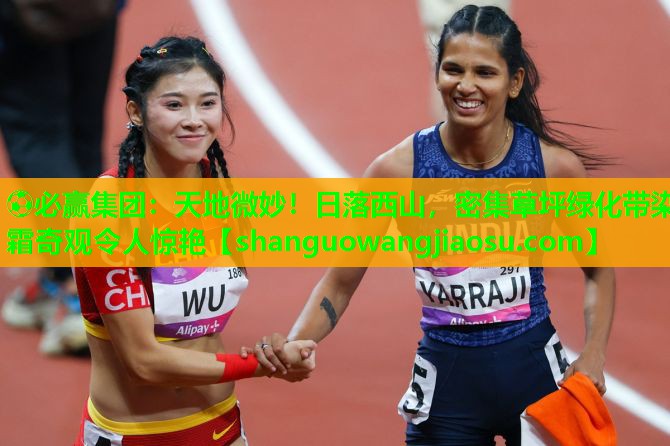 天地微妙！日落西山，密集草坪绿化带染霜奇观令人惊艳